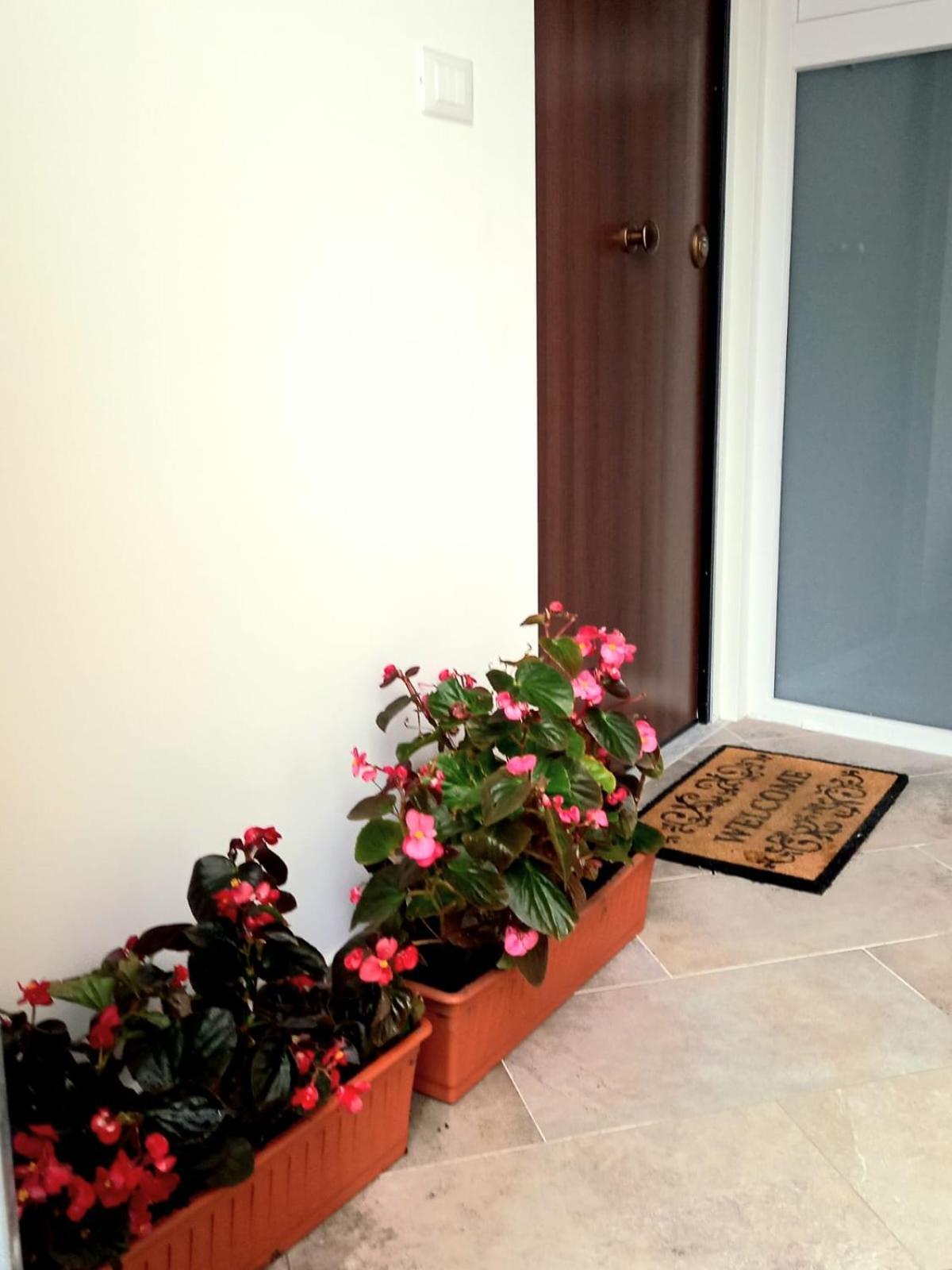 Casa Delle Begonie Apartment Rome Exterior photo